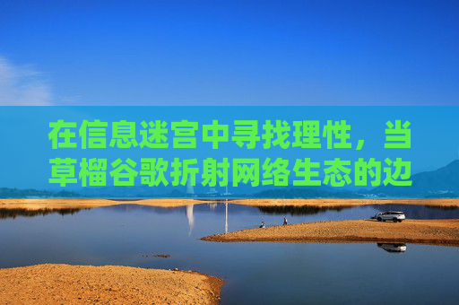 在信息迷宫中寻找理性，当草榴谷歌折射网络生态的边界与责任，信息迷宫中的理性边界，草榴谷歌与网络生态的责任追问