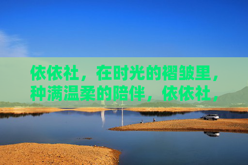 依依社,在时光的褶皱里,种满温柔的陪伴,依依社,时光褶皱里种满温柔陪伴 依依社,在时光的褶皱里,种满温柔的陪伴,依依社,时光褶皱里种满温柔陪伴
