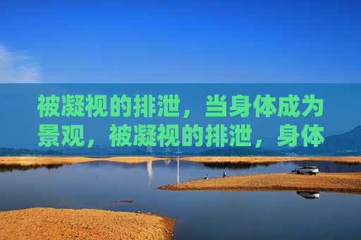 被凝视的排泄,当身体成为景观,被凝视的排泄,身体景观 被凝视的排泄,当身体成为景观,被凝视的排泄,身体景观