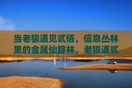 当老狼遇见贰佰,信息丛林里的金属仙踪林,老狼遇贰佰,信息丛林里的金属仙踪 当老狼遇见贰佰,信息丛林里的金属仙踪林,老狼遇贰佰,信息丛林里的金属仙踪