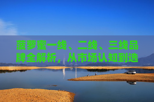 菠萝蜜一线、二线、三线品牌全解析，从市场认知到选购指南