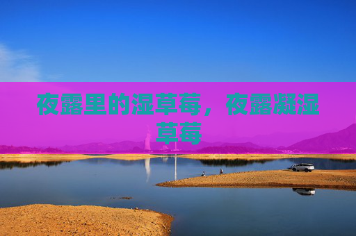 夜露里的湿草莓,夜露凝湿草莓 夜露里的湿草莓,夜露凝湿草莓