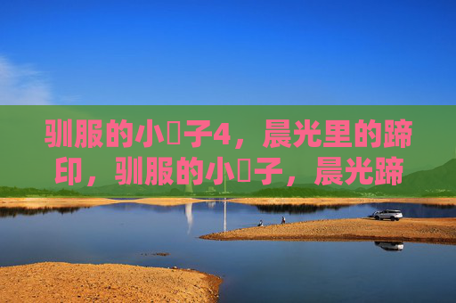 驯服的小䧅子4,晨光里的蹄印,驯服的小䧅子,晨光蹄印 驯服的小䧅子4,晨光里的蹄印,驯服的小䧅子,晨光蹄印