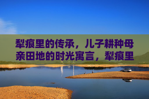 犁痕里的传承,儿子耕种母亲田地的时光寓言,犁痕里的时光传承 犁痕里的传承,儿子耕种母亲田地的时光寓言,犁痕里的时光传承