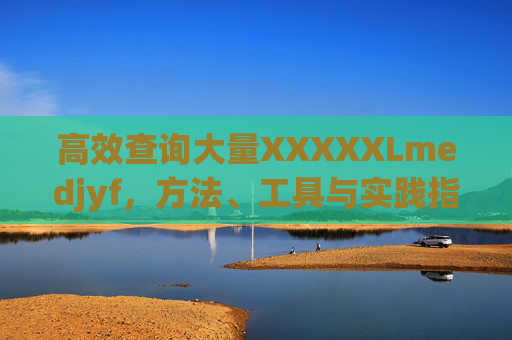 高效查询大量XXXXXLmedjyf，方法、工具与实践指南，高效查询大量XXXXXLmedjyf，方法、工具与实践指南