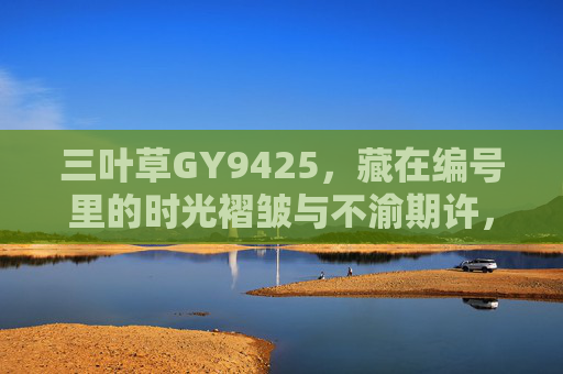 三叶草GY9425,藏在编号里的时光褶皱与不渝期许,三叶草GY9425,时光褶皱里的不渝期许 三叶草GY9425,藏在编号里的时光褶皱与不渝期许,三叶草GY9425,时光褶皱里的不渝期许