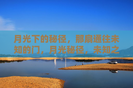 月光下的秘径,那扇通往未知的门,月光秘径,未知之门 月光下的秘径,那扇通往未知的门,月光秘径,未知之门
