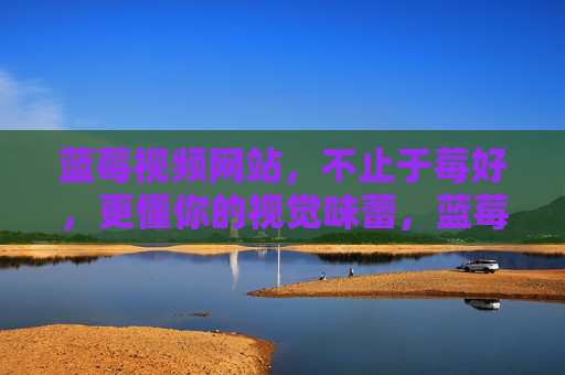 蓝莓视频网站，不止于莓好，更懂你的视觉味蕾，蓝莓视频，懂你的视觉味蕾