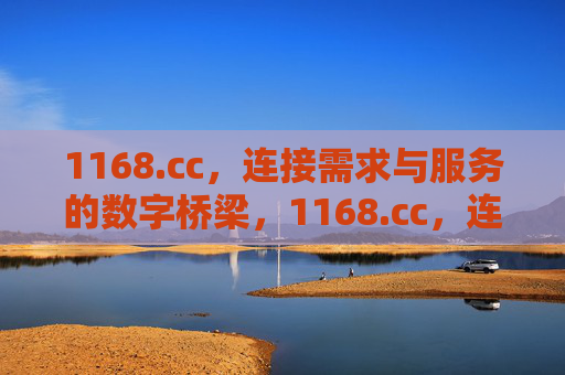 1168.cc，连接需求与服务的数字桥梁，1168.cc，连接需求与服务的数字桥梁
