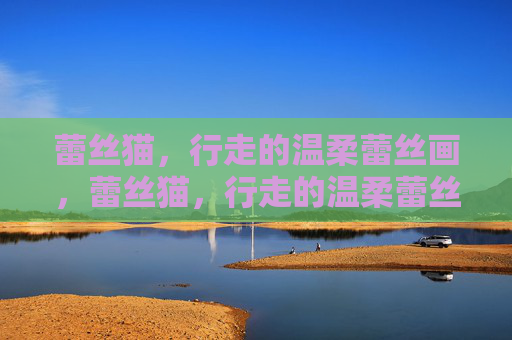 蕾丝猫,行走的温柔蕾丝画,蕾丝猫,行走的温柔蕾丝画 蕾丝猫,行走的温柔蕾丝画,蕾丝猫,行走的温柔蕾丝画