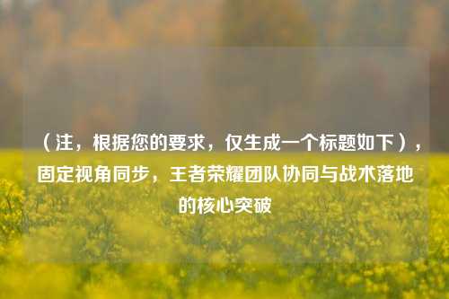 （注，根据您的要求，仅生成一个标题如下），固定视角同步，王者荣耀团队协同与战术落地的核心突破