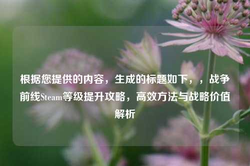 根据您提供的内容,生成的标题如下,,战争前线Steam等级提升攻略,高效方法与战略价值解析