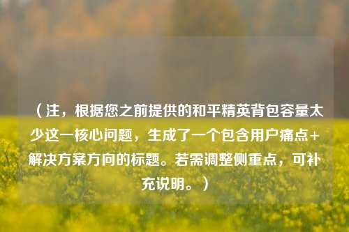 （注，根据您之前提供的和平精英背包容量太少这一核心问题，生成了一个包含用户痛点+解决方案方向的标题。若需调整侧重点，可补充说明。）