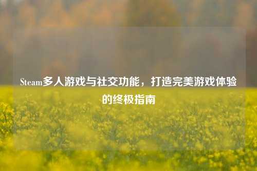 Steam多人游戏与社交功能，打造完美游戏体验的终极指南