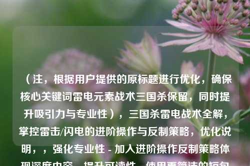 （注，根据用户提供的原标题进行优化，确保核心关键词雷电元素战术三国杀保留，同时提升吸引力与专业性），三国杀雷电战术全解，掌控雷击/闪电的进阶操作与反制策略，优化说明，，强化专业性 - 加入进阶操作反制策略体现深度内容，提升可读性 - 使用更简洁的短句式结构，突出价值点 - 明确传达全解的完整攻略属性，保留核心词 - 完整包含雷电战术三国杀三大关键词，增加行动暗示 - 掌控一词激发玩家学习欲望，（可根据实际内容侧重调整关键词顺序，如侧重武将可改为三国杀雷系武将专精，张角/司马懿的雷电联动战术手册）