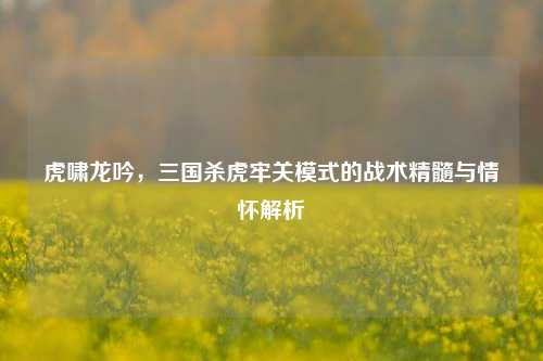 虎啸龙吟，三国杀虎牢关模式的战术精髓与情怀解析