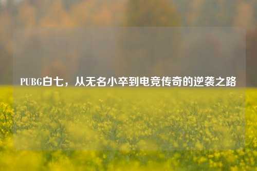 PUBG白七，从无名小卒到电竞传奇的逆袭之路