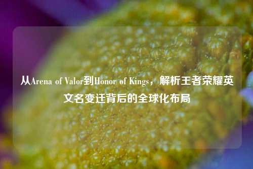 从Arena of Valor到Honor of Kings，解析王者荣耀英文名变迁背后的全球化布局