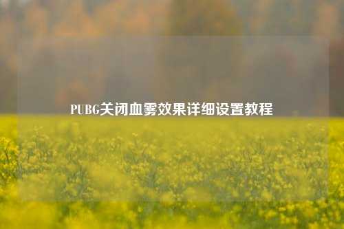 PUBG关闭血雾效果详细设置教程