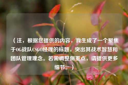 (注,根据您提供的内容,我生成了一个聚焦于OG战队CSGO经理的标题,突出其战术智慧和团队管理理念。若需调整侧重点,请提供更多细节。)