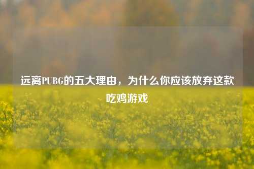 远离PUBG的五大理由,为什么你应该放弃这款吃鸡游戏