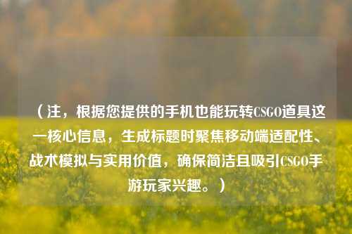 (注,根据您提供的手机也能玩转CSGO道具这一核心信息,生成标题时聚焦移动端适配性、战术模拟与实用价值,确保简洁且吸引CSGO手游玩家兴趣。)