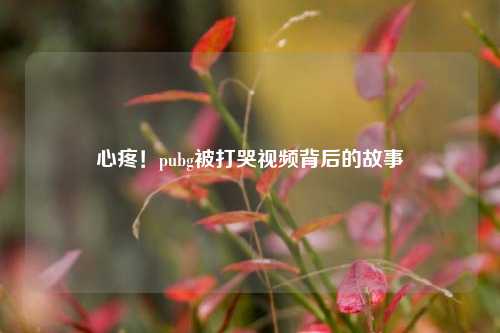心疼!pubg被打哭视频背后的故事