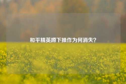 和平精英蹲下操作为何消失?