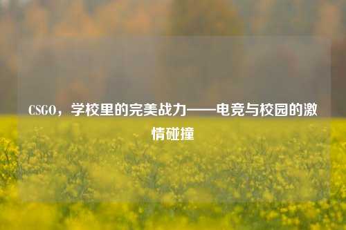 CSGO,学校里的完美战力——电竞与校园的***碰撞