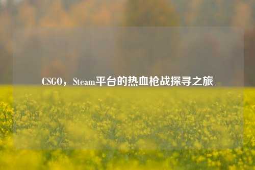 CSGO,Steam平台的热血枪战探寻之旅