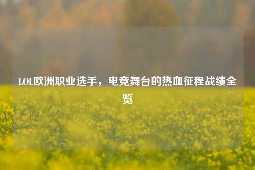 LOL欧洲职业选手,电竞舞台的热血征程战绩全览