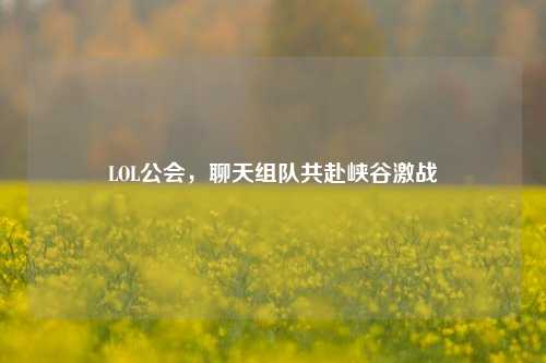 LOL公会,聊天组队共赴峡谷激战