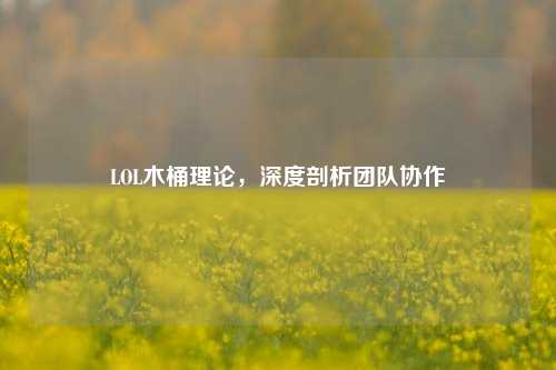 LOL木桶理论,深度剖析团队协作