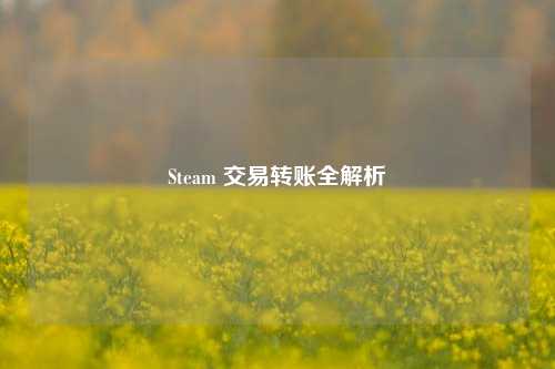 Steam 交易转账全解析