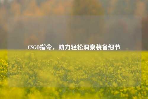 CSGO指令,助力轻松洞察装备细节