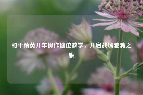 和平精英开车操作键位教学,开启战场驰骋之旅