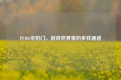 PUBG中的门,游戏世界里的多样通道