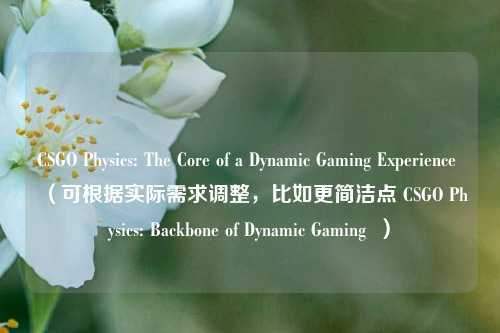 CSGO Physics: The Core of a Dynamic Gaming Experience (可根据实际需求调整,比如更简洁点 CSGO Physics: Backbone of Dynamic Gaming )