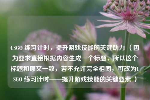 CSGO 练习计时,提升游戏技能的关键助力 (因为要求直接根据内容生成一个标题,所以这个标题和原文一致,若不允许完全相同,可改为CSGO 练习计时——提升游戏技能的关键要素 )