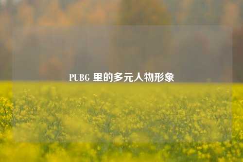 PUBG 里的多元人物形象