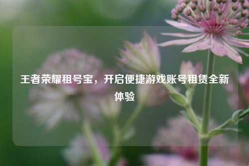 王者荣耀租号宝,开启便捷游戏账号租赁全新体验