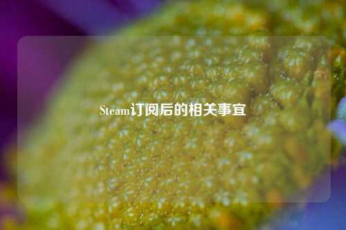 Steam订阅后的相关事宜