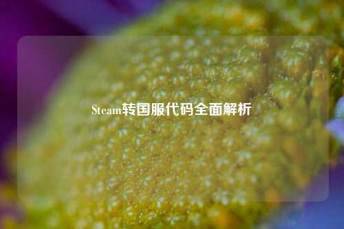 Steam转国服代码全面解析
