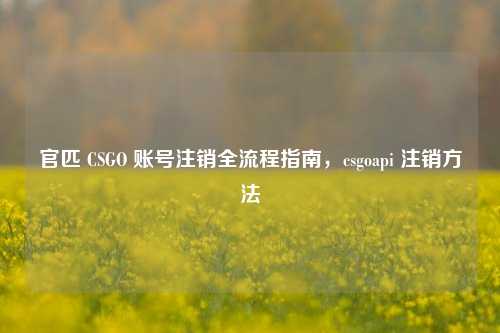 官匹 CSGO 账号注销全流程指南,csgoapi 注销 ***