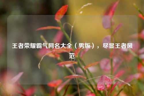王者荣耀霸气网名大全(男版),尽显王者风范