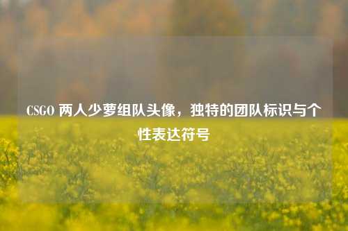 CSGO 两人少萝组队头像,独特的团队标识与个性表达符号
