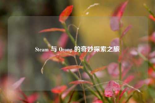 Steam 与 Orong 的奇妙探索之旅