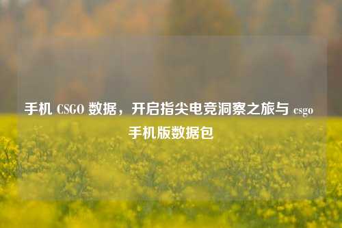 手机 CSGO 数据,开启指尖电竞洞察之旅与 csgo 手机版数据包