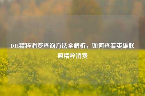 LOL精粹消费查询 *** 全解析,如何查看英雄联盟精粹消费