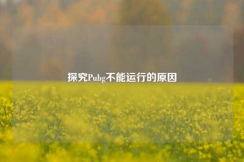 探究Pubg不能运行的原因